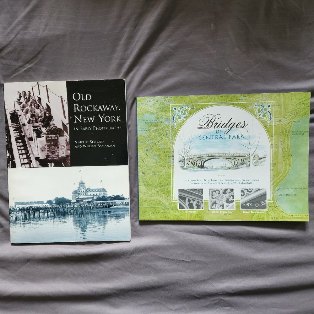 NY History Books